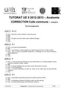 TUTORAT UE 5 2012-2013 – Anatomie CORRECTION Colle commune –
