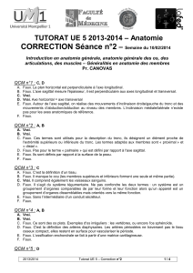 CORRECTION Séance n°2  – Anatomie TUTORAT UE 5 2013-2014