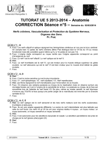 – CORRECTION Séance n°5 – Anatomie