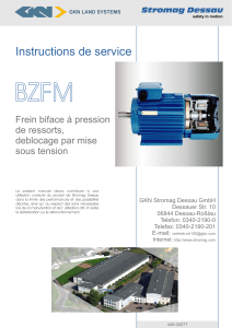 BZFM Instructions de service Frein biface á pression de ressorts,