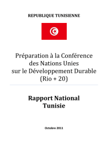 Préparation à la Conférence des Nations Unies sur le Développement Durable