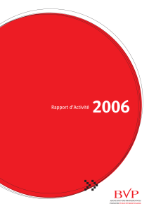 2006 Rapport d’Activité