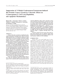 N Rat Prostate Cancer Growth by Celecoxib: Effects on and Apoptosis Mechanism(s)