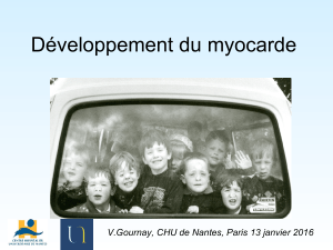 Développement du myocarde V.Gournay, CHU de Nantes, Paris 13 janvier 2016