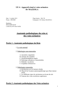 UE4-Mazzola-anatomie pathologique du rein et des voies urinaires.pdf