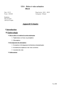 D1-UE4-Pelluard-Histologie du rein 1.pdf
