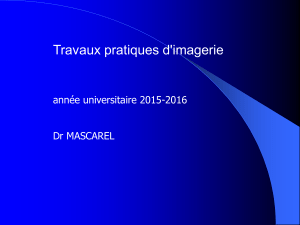 Travaux pratiques d'imagerie année universitaire 2015-2016 Dr MASCAREL