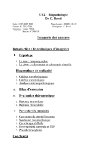UE2 – Biopathologie Dr C. Revel