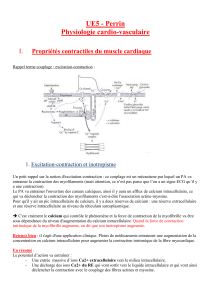 UE5 - Perrin Physiologie cardio-vasculaire I.