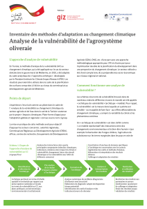 Analyse de la vulnérabilité de l’agrosystème oliveraie L’approche d’analyse de vulnérabilité