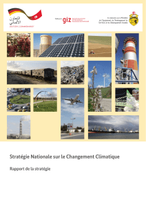 Stratégie Nationale sur le Changement Climatique Rapport de la stratégie  Ministère