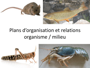 Plans d’organisation et relations organisme / milieu