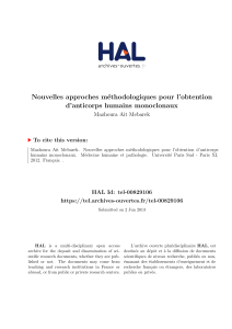 Nouvelles approches m´ ethodologiques pour l’obtention d’anticorps humains monoclonaux Mazhoura Ait Mebarek