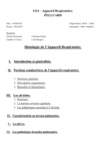 p2-ue4-pelluard-histologie_appareil_respiratoire-140916-word