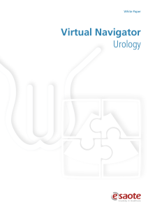 READ MORE: Virtual Navigator - Urology - White Paper [285 Kb]