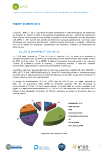 - rapport d'activités année 2013