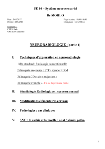 UE 10 – Système neurosensoriel Dr MOHLO