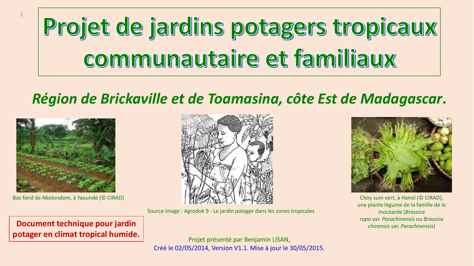 20 pcs/sac de haricots Graines bio délicieux Phaseolus vulgaris plante verte Semences-nutrition Graines de légumes non OGM 2