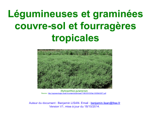 http://benjamin.lisan.free.fr/projetsreforestation/Plantes_couvre-sol_et_fourrageres_tropicales.ppt