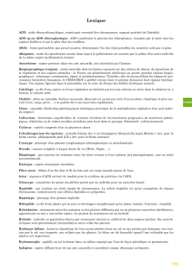 lexiqueBotanique.pdf