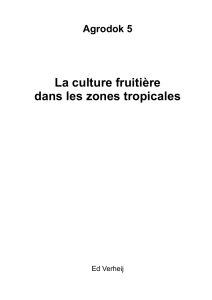 La culture fruitière dans les zones tropicales Agrodok 5 Ed Verheij