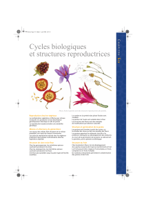 Cycles biologiques et structures reproductrices C