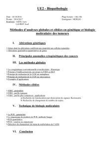 p2_ue2_merlio-methodes_d_etudes_des_cancers-1