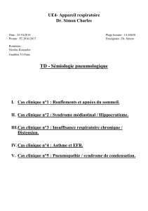p2-ue4-simon-td-semiologie-pneumologique-25102016-word