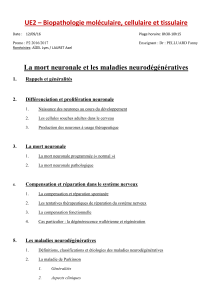 UE2 – Biopathologie moléculaire, cellulaire et tissulaire