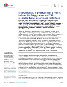 Methylglyoxal, a glycolysis side-product, induces Hsp90 glycation and YAP-