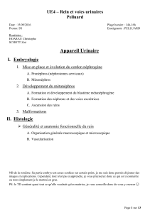 d1-ue4-pelluard-embryologie_et_histologie_du_rein_partie1-15-09-16