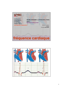 fréquence cardiaque 1 DIPLÔME ERGONOMIE
