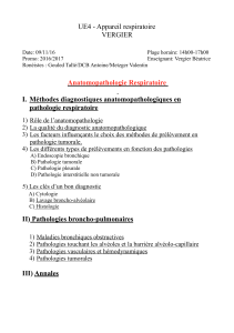 p2-ue4-vergier-anatomopathologie-resipratoire-09-11-16