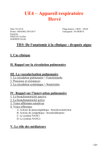 p2-ue4-herve-td3_anatomie-a-la-clinique-dyspnee-aigue-03-10-16-word