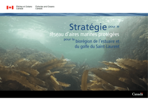 Stratégie réseau d’aires marines protégées  biorégion de l’estuaire et