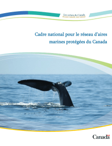 Cadre national pour le réseau d’aires marines protégées du Canada