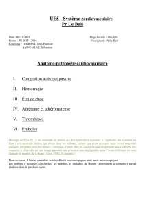 UE5-LeBail-Anatomopathologie_Vasculaire_0