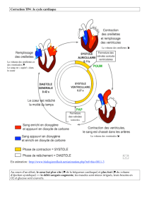 Correction TP4 : le cycle cardiaque