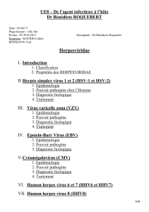 UE8 – De l’agent infectieux à l’hôte Dr Bénédicte ROQUEBERT