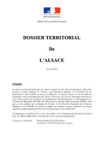 Diagnostic territorial avril 2011 (PDF - 1 261,88 ko)