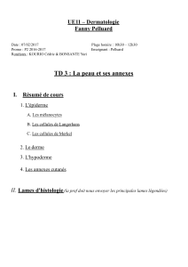 UE11:PELLUARD-TD: peau et ses annexes PDF