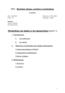D1-UE3-Lambert-Métabolisme_des_lipides_et_des_lipoprotéines (1)-2015-word