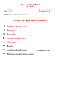 p2-ue5-le-bail-anapath-cardiovasc-1-07-09-16-pdf