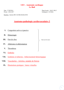p2-ue5-lebail-anapath-cardiovasc-2-27-09-16-pdf