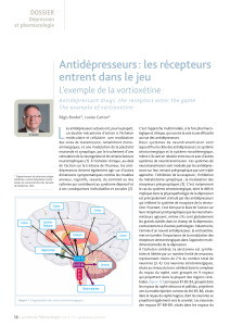 L Antid&eacute;presseurs : les r&eacute;cepteurs entrent dans le jeu L&rsquo;exemple de la vortiox&eacute;tine