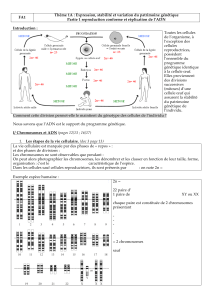 Thème 1A : Expression, stabilité et variation du patrimoine génétique FA1