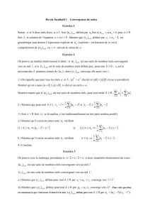 Devoir facultatif 1 Convergences de suites.pdf