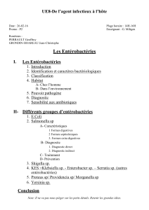 Les Enterobacteries (word)