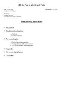 Pseudomonas aeruginosa (word)