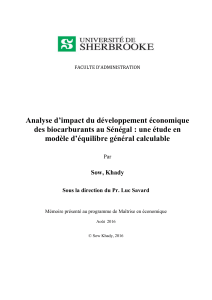 Analyse d’impact du développement économique modèle d’équilibre général calculable